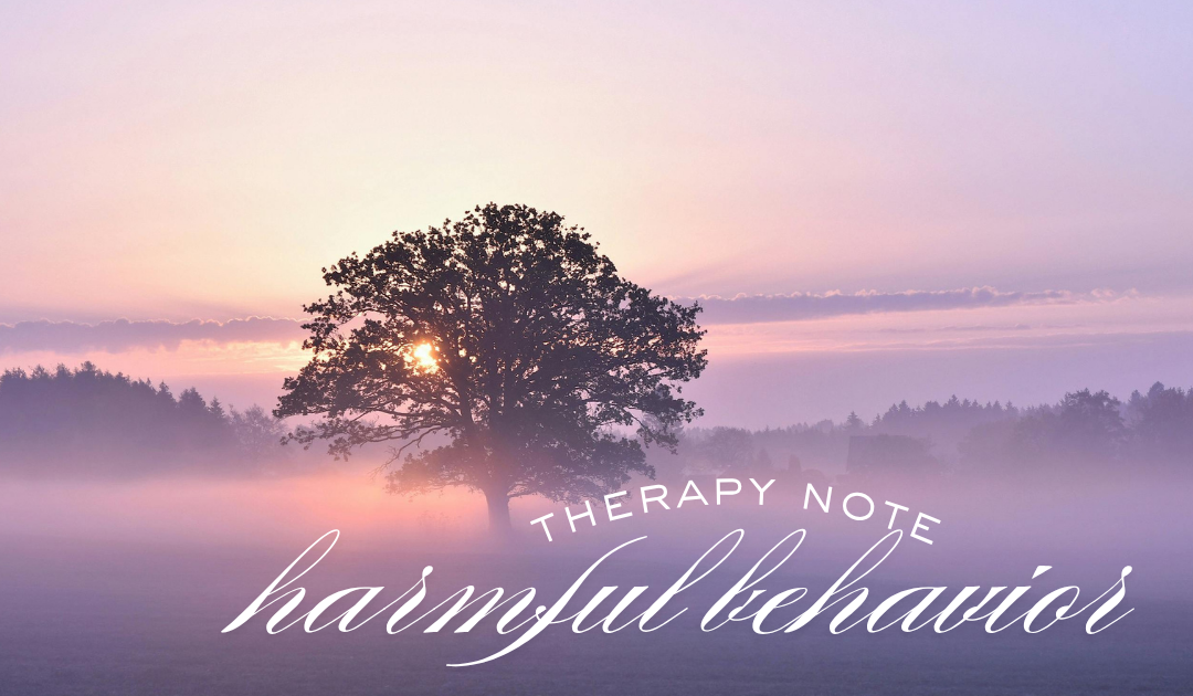 Therapy Note Harmful Behavior