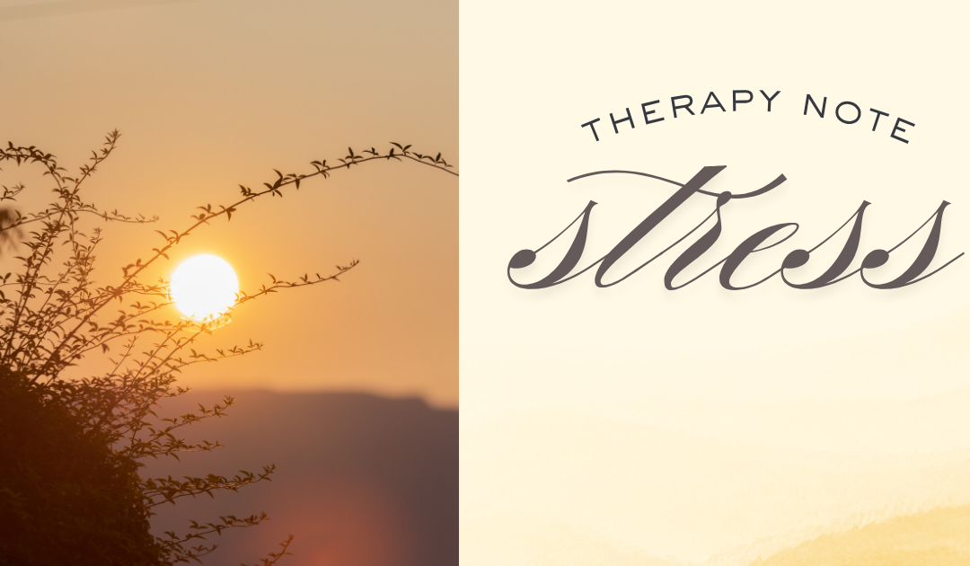 Therapy Note Stress